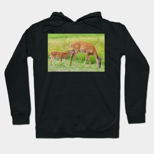 In one end...and out the udder - Deer Hoodie